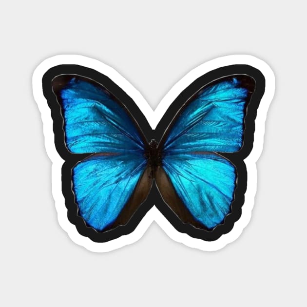 butterfly Magnet by carleemarkle