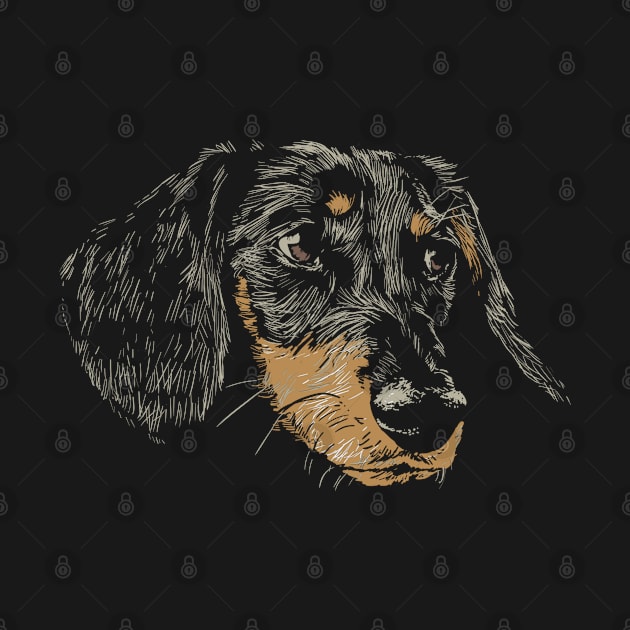 Cute Rough-Haired Dachshund With Friendly Face by gdimido