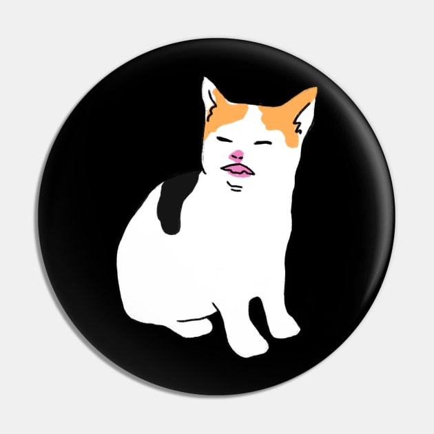 Angry Cat Meme Pin