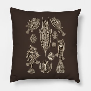 Ernst Haeckel Ostraciontes Fish  Wenge Pillow