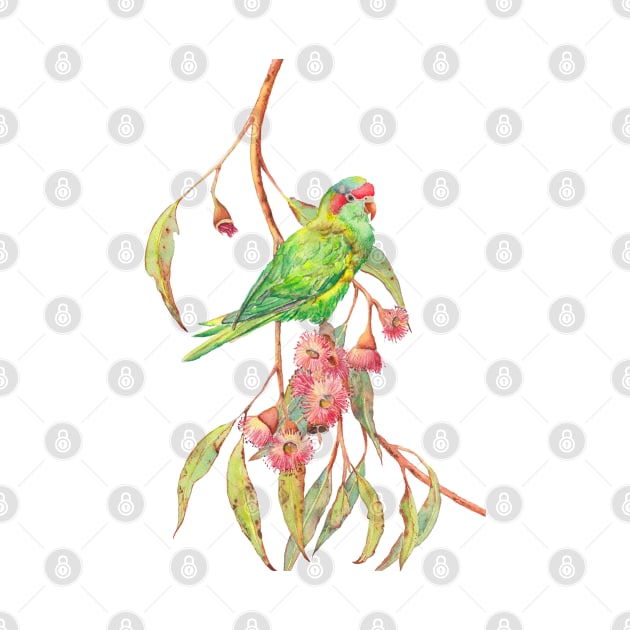 Musk lorikeet parrot and eucalyptus branch with pink flowers by ZoyaArt