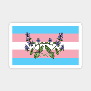 Catnip Trans Flag Magnet