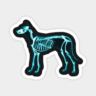 X-ray proof - My dog has eaten my homework Magnet