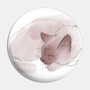 Pencil sketch of a sleeping cat. strokes of pink paint. Pin