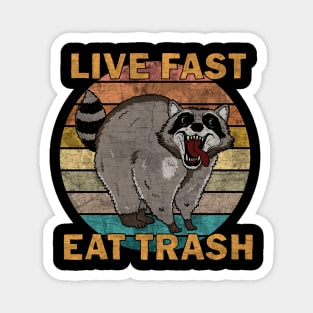 Raccoon - Live Fast Eat Trash Magnet