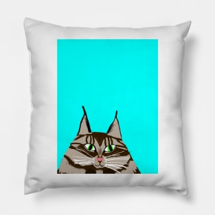 Dexter Pillow