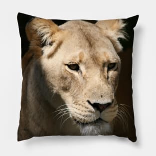 African Lion Pillow