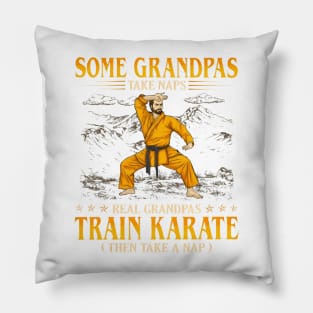 Some Grandpas Take Naps Real Grandpas Train Karate Pillow