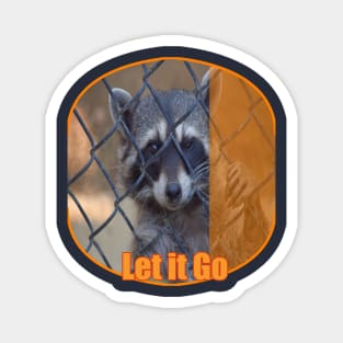 Caged animals Freedom Raccoon Magnet