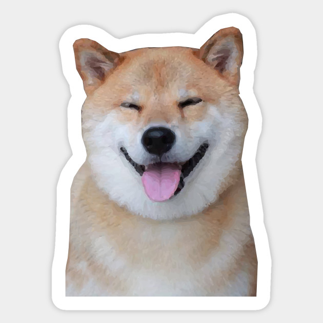 Shiba Inu Dog Smiling 2