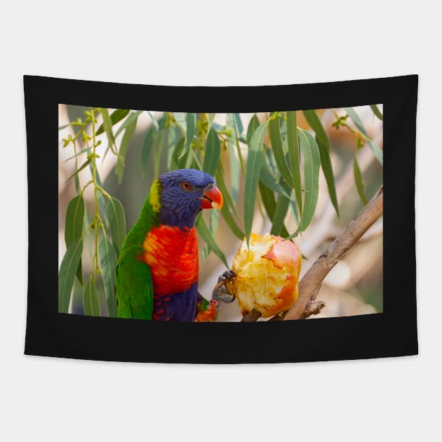 Rainbow lorikeet eating apple. Tapestry by sma1050