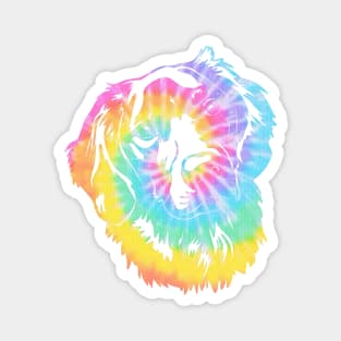 Tye dye golden retriever Magnet