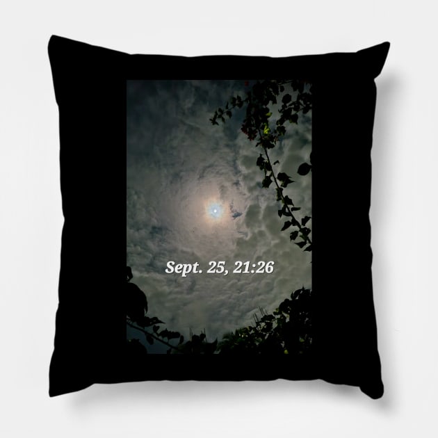 Moon Pillow by DAVT