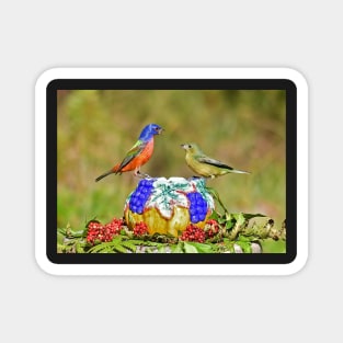 Painted Bunting Pair Birds Magnet