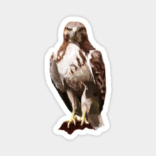 Cute Buzzard Drawing Magnet