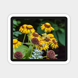 Flowers Blooming. Magnet