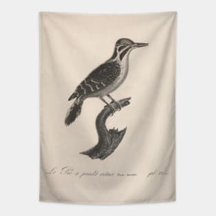 Natural history of vintage birds of North America 1 Tapestry