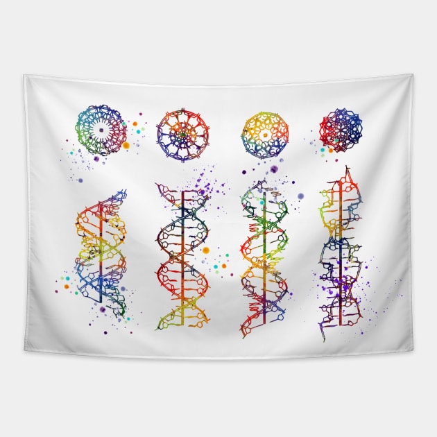 DNA Helix A-B-C-Z Colorful Watercolor Tapestry by LotusGifts