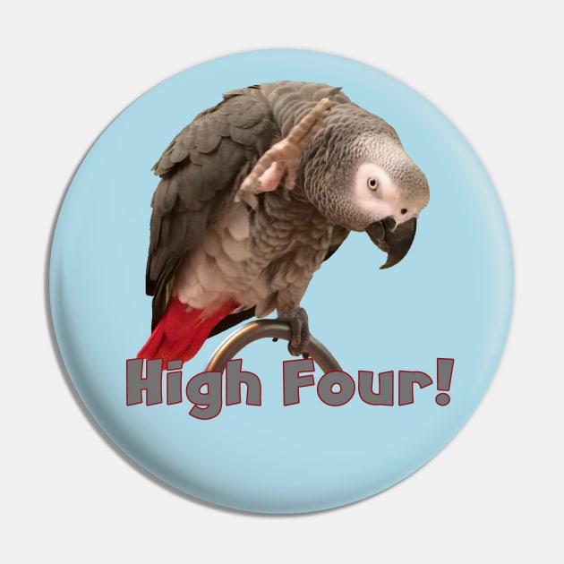 African Grey Parrot Waving High Four Pin by Einstein Parrot