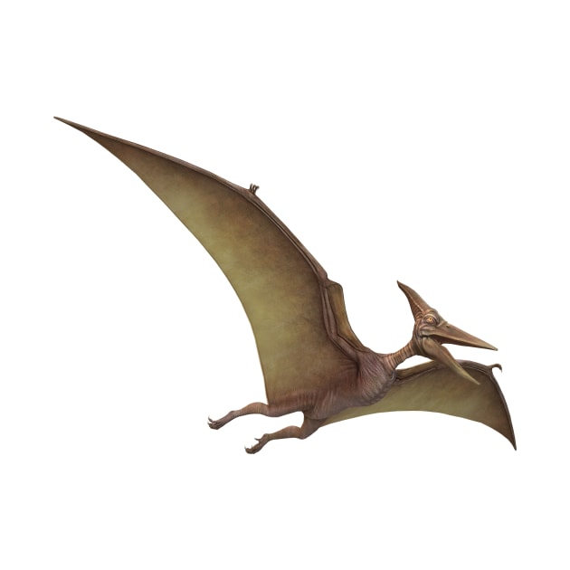 pterodactyl dinosaur pre historic reptile by myouynis