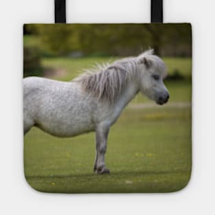 Miniature Horse. Tote