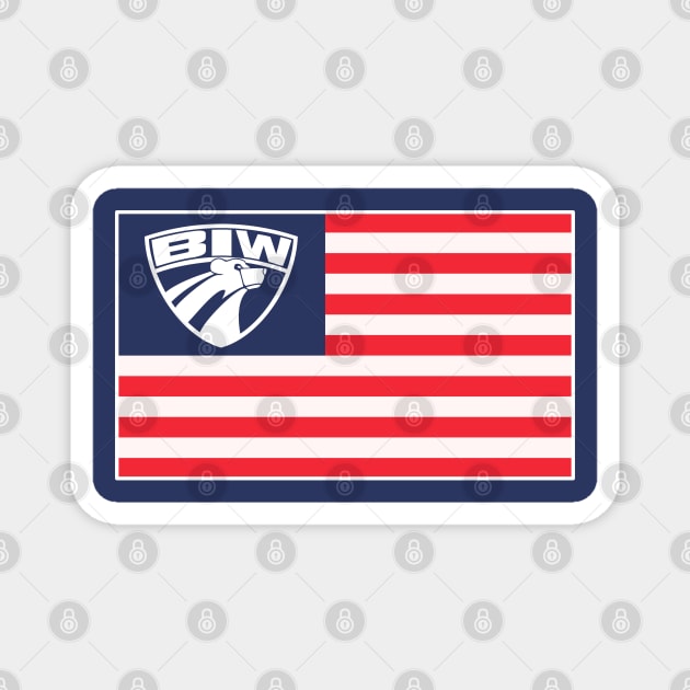 BIW USA Magnet by TheRealJoshMAC