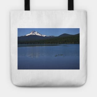 850_5986 Tote