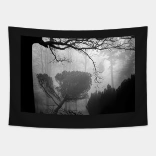 Leaning pine in a foggy wood Tapestry