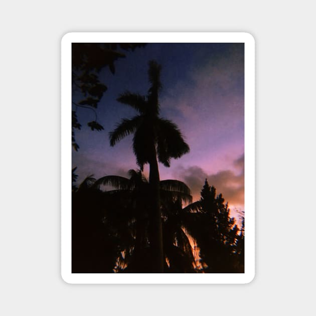 Pink Tropical Sunset Magnet by SoCalDreamin