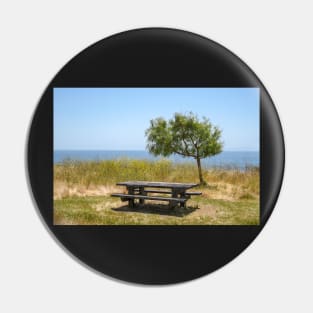 Picnic Table with a View Pin