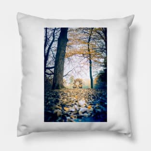 Picture of modern sculpture "Sun" in autumn color park Pillow