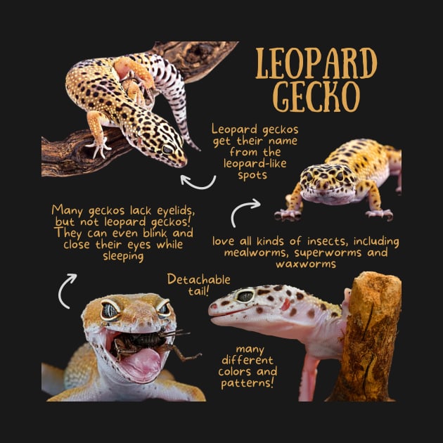 Animal Facts - Leopard Gecko by Animal Facts and Trivias