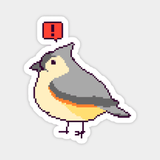 Tufted Titmouse with Exclamation Magnet