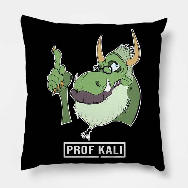 Linux Kali Hacking for Senior Network Hacker or Ubuntu Admin Pillow by Cedinho