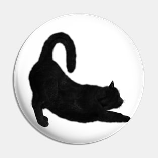Black Cat Pin