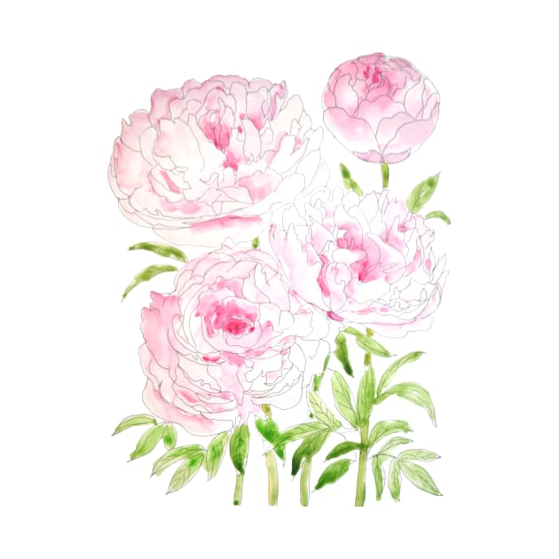 pink peony flowers  watercolor and ink by colorandcolor