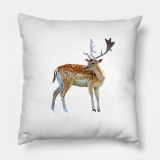 Rehe Pillow