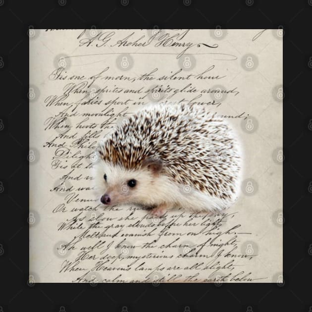 dark academia autumn harvest french botanical woodland animal hedgehog by Tina