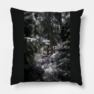 snowy Oregon forest 5 Pillow
