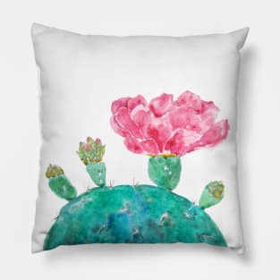 Pink cactus flower watercolor Pillow