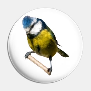 Blue Tit Pin