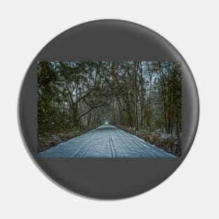 January Snow Day Pin