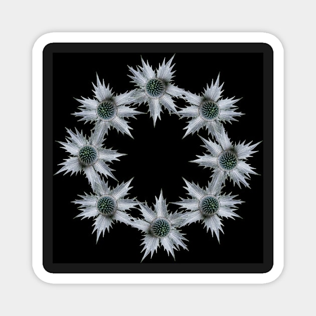 Ring of Eryngium Magnet by RosNapier