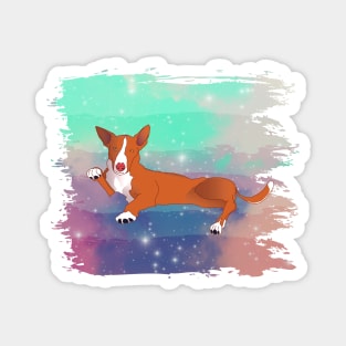 Podenco in a rainbow galaxy Magnet