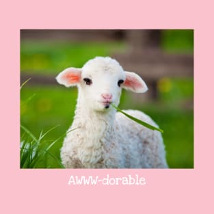 AWWW-dorable sheep eating grass T-Shirt