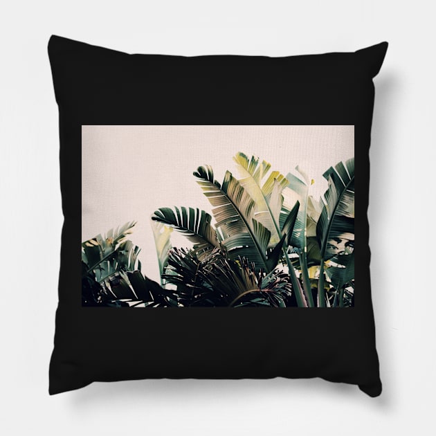 Paradise #4 Pillow by ALICIABOCK