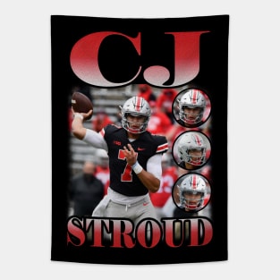 BOOTLEG CJ STROUD VOL 1 Tapestry