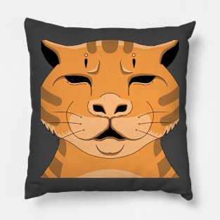Funny cat Pillow