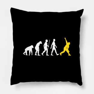 Cricket Player Evolution Bowler Pillow