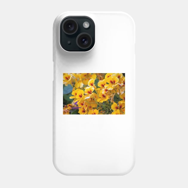 wildflowers Phone Case by terezadelpilar